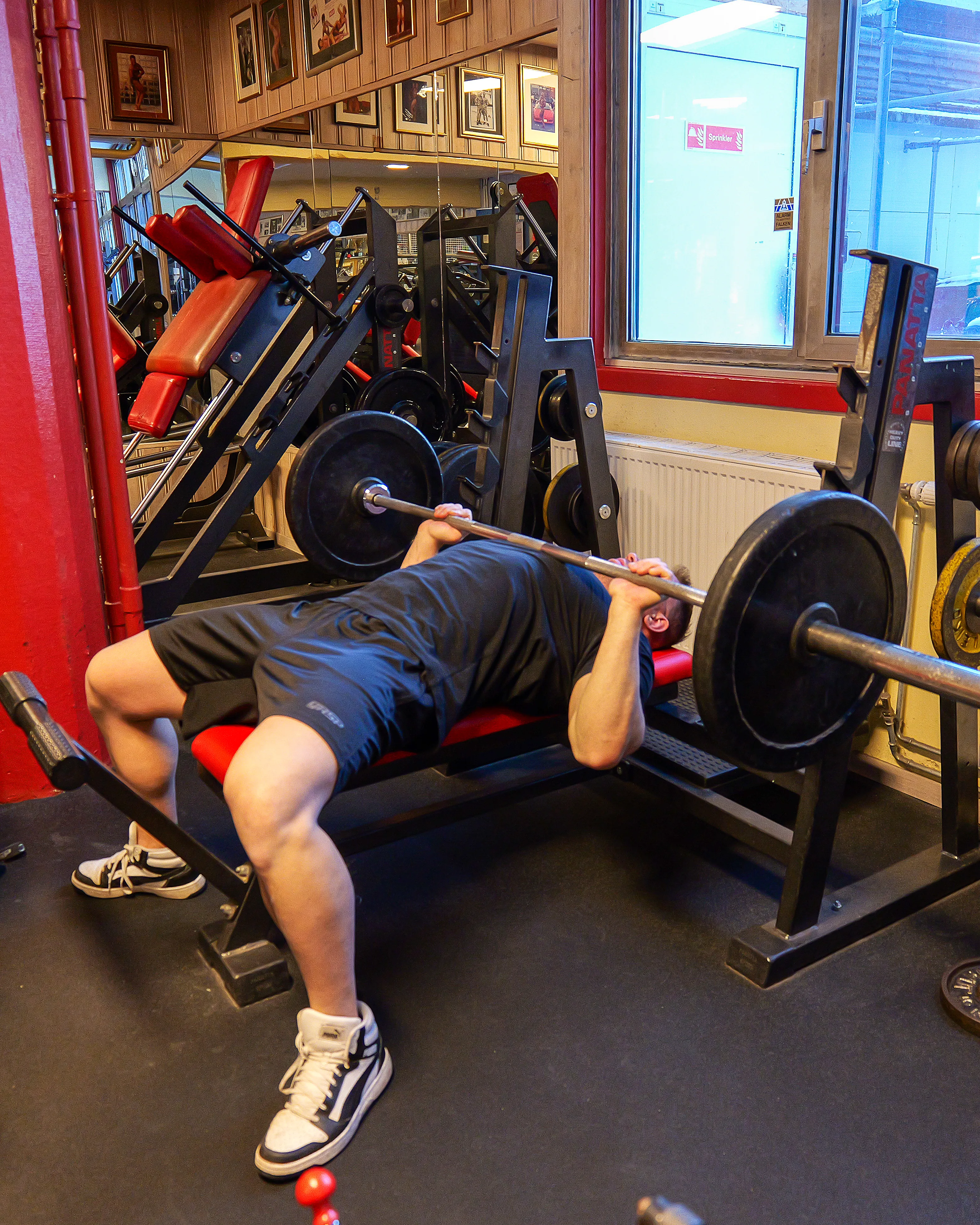 Beginner 4-Day Upper/Lower plan, free in Hypro